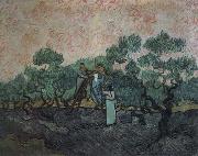 the olive pickers,saint remy,1889 Vincent Van Gogh